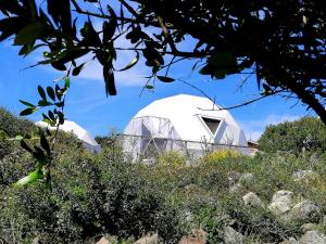 B&B Glamping Semaforo Capo Sperone img40