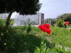 B&B Glamping Semaforo Capo Sperone img41
