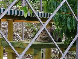 B&B Glamping Semaforo Capo Sperone img42