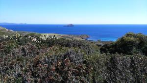 B&B Glamping Semaforo Capo Sperone img50