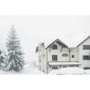 Apartman Filip-Vila Zlatiborski andjeo Zlatibor