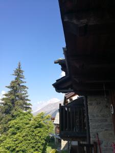 Casa Coccoz