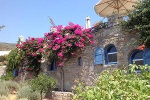 Pure White Paros Greece