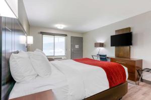Queen Room - Non-Smoking room in Comfort Inn