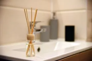 Apartament Diandru - Poiana Sărată