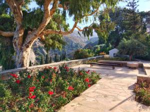 The Hillside Tower - Next to Pithara Waterfalls Andros Greece