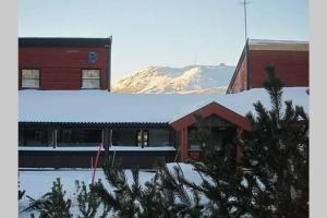 Stor barnevennlig leilighet
