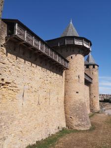 Appartements Gite Carcasso : photos des chambres