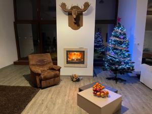 TED Penthouse Silver Mountain