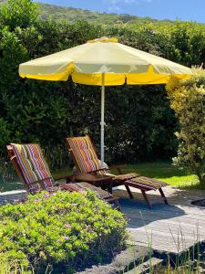 Quinta Perpetua, Casa Pico