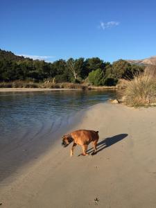 Maisons de vacances Paomia : photos des chambres
