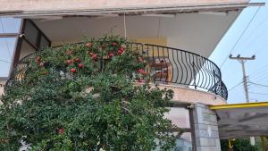 Villa George - Family Holidays