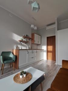 Przytulny apartament w centrum Kupiecka-Drzewna