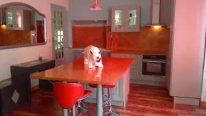 DREAM COLOR - Alignan-du-Vent