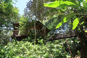 TREEHOUSE PILON PAVONES