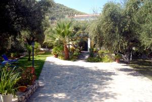 Annas Villa Zakynthos Greece