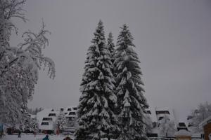 Apartman SREBRNA PAHULjA-Konaci