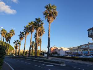 Appartements Studio 16 Le Cap d'Agde avec Parking prive proche du centre : photos des chambres