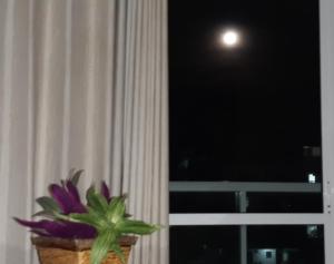 Ótimo Apartamento 306, Arraial do Cabo, RJ, Brasil