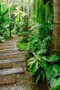 Baan Veanglhek Residence