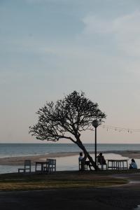 Rockgarden Beach Resort