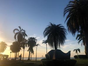 Rockgarden Beach Resort