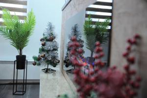 One-Bedroom Apartment room in Apartman Kalina Suncani Breg