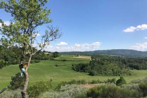 Appartements Maison «  les cypres du paradis » : Forcalquier : photos des chambres