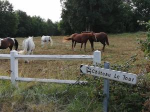 B&B / Chambres d'hotes Chateau Le Tour - Chambres d'Hotes : photos des chambres