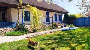 Traditional House in Danube Delta - Lunca