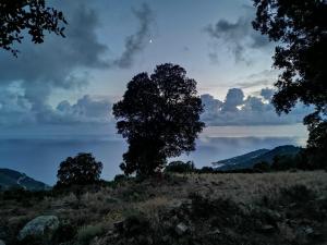 Maisons de vacances Paomia : photos des chambres