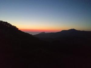 Maisons de vacances Paomia : photos des chambres