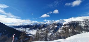 Chalet Biene - Swiss Alp Chalet with Sauna and Jacuzzi