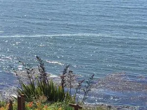 Cabańas de La Ochi - 涅夫拉