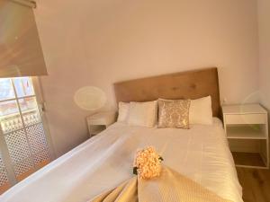 Apartamentos palangreros