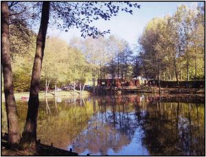 Campings le chalet de Lola : photos des chambres