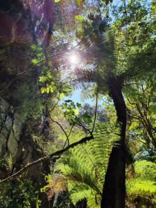 Pousada Cascata dos Amores