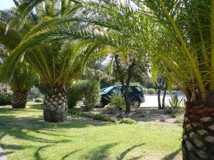 Appartements Residences de Salduccio - Calvi Corse : photos des chambres