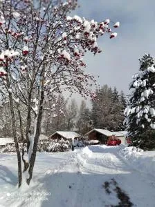 Chalet calme - Pont-du-Fossé