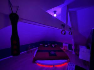 Hotels Redroom Loveroom Chambre Spa privative Insolite Theme 50 nuances de grey : photos des chambres