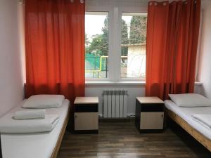 Single Bed in 2-Bed Dormitory Room