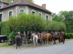 Hotels Auberge Magnette : photos des chambres