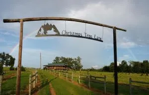 The Christmas Cabin - روسيلفيل