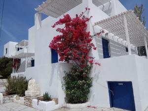 Nicos Studios & Apartments Paros Greece