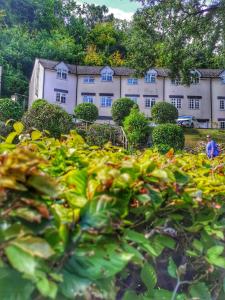 Symonds Yat West Holiday Cottage 8 WRC with views of Yat Rock