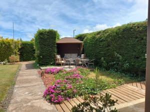 Complejo Pehuen Lago Lanalhue