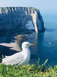 Maisons de vacances Gite Des Hautes Falaises : photos des chambres