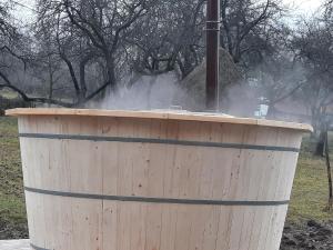 Casa Maramureșeană Larisa