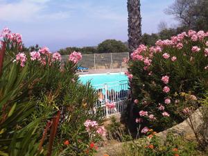 Appartements Residences de Salduccio - Calvi Corse : photos des chambres