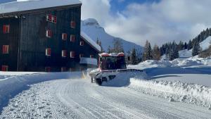 Casa Cucciolo Falcade